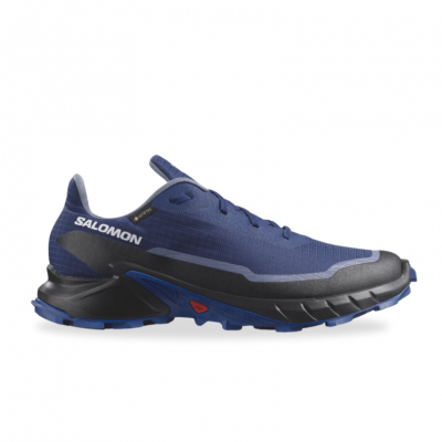 Salomon Alphacross 5 Gore-Tex Homem