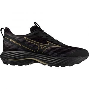 Mizuno Wave Rider Gtx 2 Trail Running Shoes Preto Homem