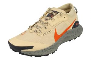 Nike Pegasus Trail 3 Gore-Tex