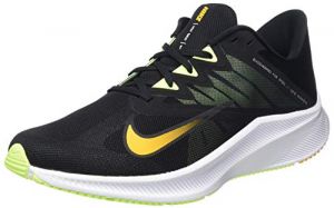 Nike Quest 3