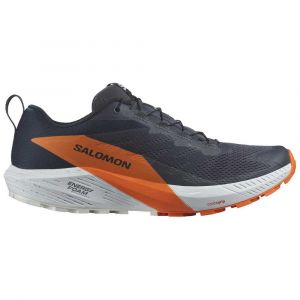 Salomon Ténis De Trail Running Sense Ride 5 Goretex