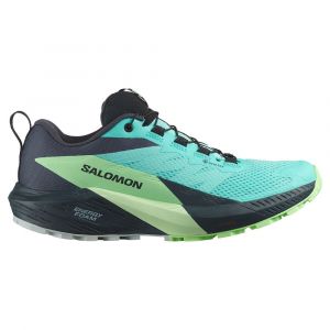 Salomon Ténis De Trail Running Sense Ride 5 Goretex