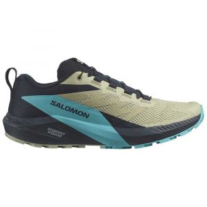 Salomon Sense Ride 5 Trail Running Shoes Azul Homem