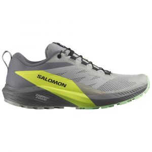 Salomon Sense Ride 5 Trail Running Shoes Cinzento Homem