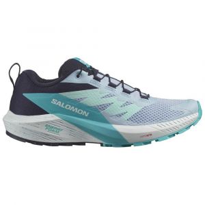 Salomon Sense Ride 5 Trail Running Shoes Preto Mulher