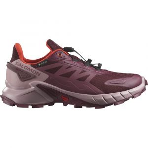 Salomon Ténis De Trail Running Supercross 4 Goretex