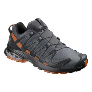 Ténis Salomon XA PRO 3D v8 GORE-TEX cinzento preto castanho - 47(1/3)