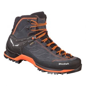 Salewa Botas De Alpinismo Mountain Trainer Mid Goretex