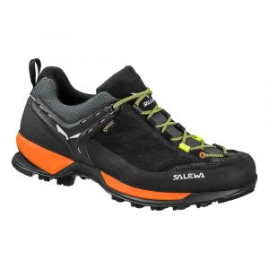 Salewa Sapatos De Caminhada Mtn Trainer Goretex