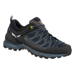 Salewa Sapatos De Caminhada Mtn Trainer Lite Goretex