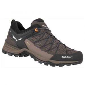 Salewa Sapatos De Aproximação Mtn Trainer Lite Goretex