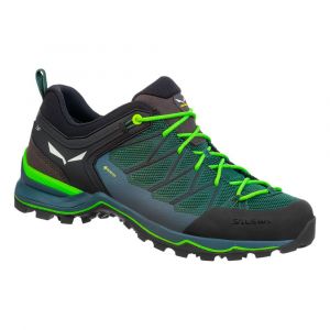 Salewa Sapatos De Caminhada Mtn Trainer Lite Goretex