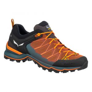 Salewa Sapatos De Aproximação Mtn Trainer Lite