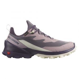 Salomon Sapatos De Caminhada Cross Over 2 Goretex