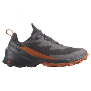 Salomon Sapatos De Caminhada Cross Over 2 Goretex