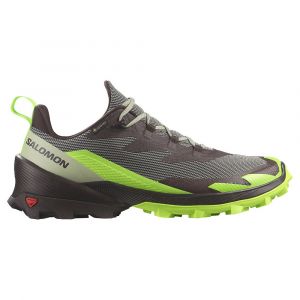 Salomon Sapatos De Caminhada Cross Over 2 Goretex