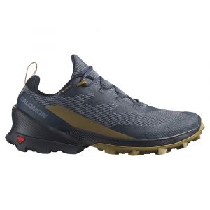 Salomon Sapatos De Caminhada Cross Over 2 Goretex