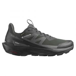 Salomon Sapatos De Caminhada Elixir Activ Goretex