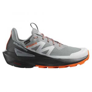 Salomon Sapatos De Caminhada Elixir Activ Goretex