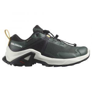 Salomon Sapatos De Caminhada X Raise Goretex