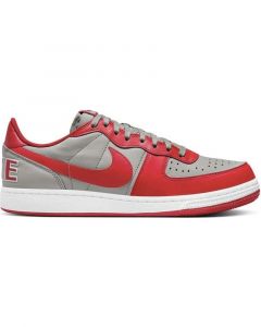 Esportes de Mulher e Homem e Menino NIKE ZAPATILLAS SNEAKERS TERMINATOR LOW EN COLOR MULT MULTICOLOR