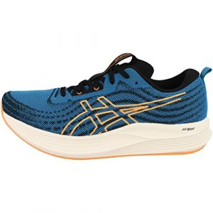 Asics Evoride Speed