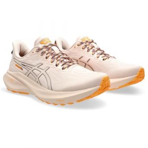 Asics GT-2000 13 TR