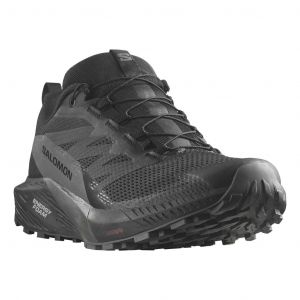 Ténis Salomon Sense Ride 5 GORE-TEX preto - 49(1/3)