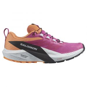 Salomon Ténis De Trail Running Sense Ride 5 Goretex