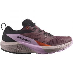 Salomon Ténis De Trail Running Sense Ride 5 Goretex