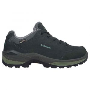 Lowa Sapatos De Caminhada Renegade Goretex Low