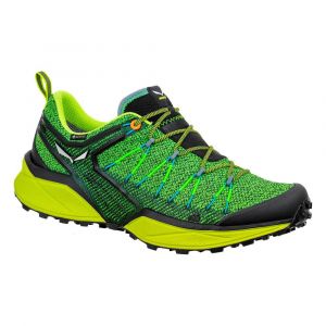 Salewa Sapatos De Caminhada Dropline Goretex