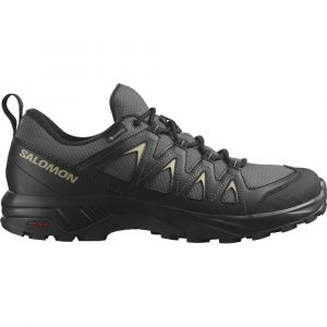 Salomon Sapatos De Caminhada X Braze Goretex