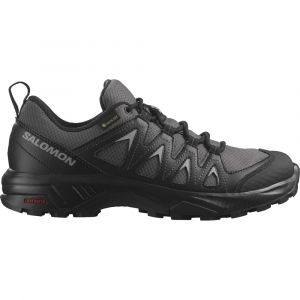 Salomon Sapatos De Caminhada X Braze Goretex