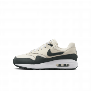 Sapatilhas Air Max 1 Júnior - Castanho