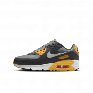 Sapatilhas Nike Air Max 90 Júnior - Cinzento