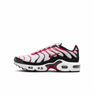 Sapatilhas Nike Air Max Plus Júnior - Cinzento