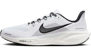 Nike Air Zoom Pegasus 41