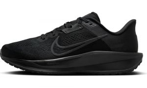 Nike Quest 6