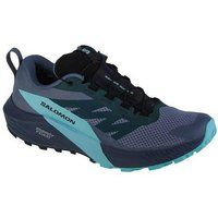 Sapatos para correr /jogging para homens / masculino Salomon Sense Ride 5 Gtx