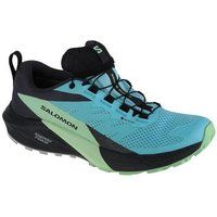 Sapatos para correr /jogging para mulher Salomon Sense Ride 5 Gtx