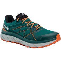 Sapatilhas de corrida Homem SCARPA Spin Infinity GTX