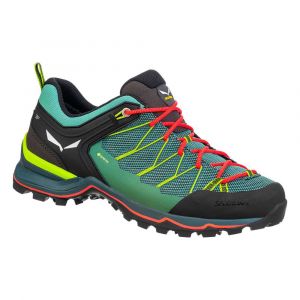 Salewa Sapatos De Aproximação Mtn Trainer Lite Goretex