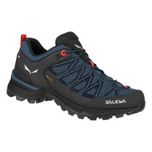 Salewa Sapatos De Caminhada Mtn Trainer Lite Goretex