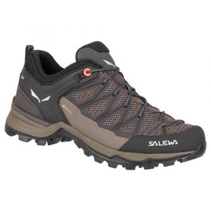 Salewa Sapatos De Caminhada Mtn Trainer Lite Goretex