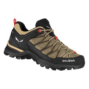 Salewa Sapatos De Aproximação Mtn Trainer Lite