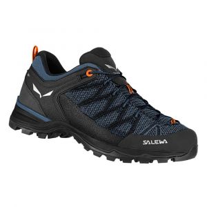 Salewa Sapatos De Aproximação Mtn Trainer Lite