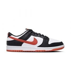 Nike Dunk Low Retro DV0833-108