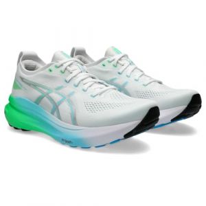 Asics Gel-Kayano 31