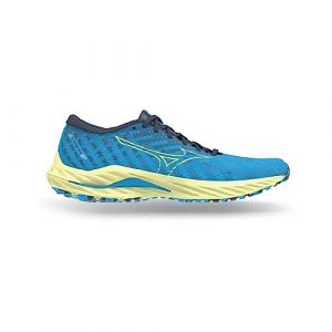 Mizuno Wave Inspire 19